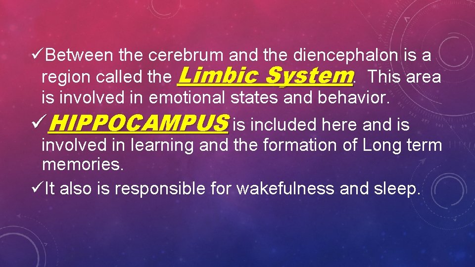 üBetween the cerebrum and the diencephalon is a region called the Limbic System. This