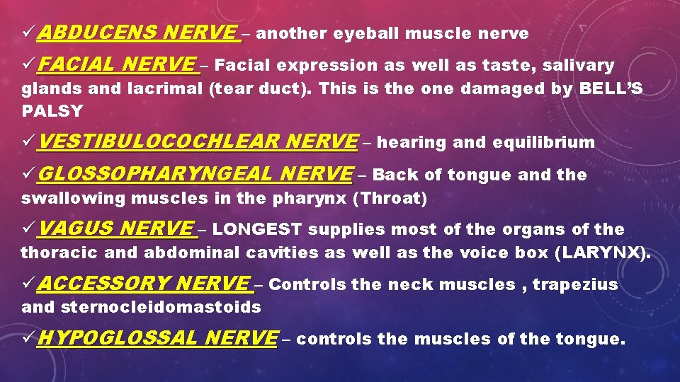 üABDUCENS NERVE – another eyeball muscle nerve üFACIAL NERVE – Facial expression as well