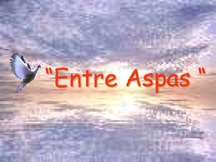 “Entre Aspas “ 