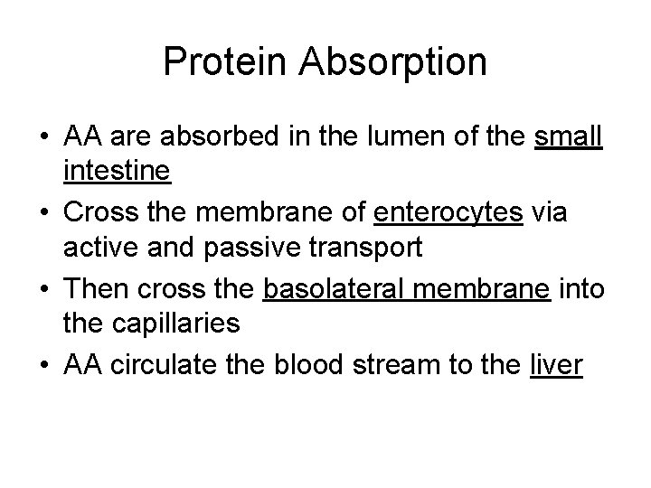 Protein Absorption • AA are absorbed in the lumen of the small intestine •