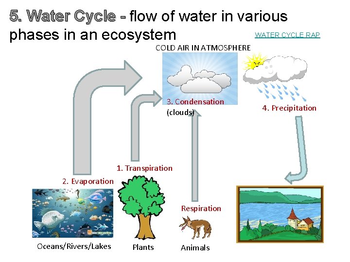 5. Water Cycle - flow of water in various WATER CYCLE RAP phases in