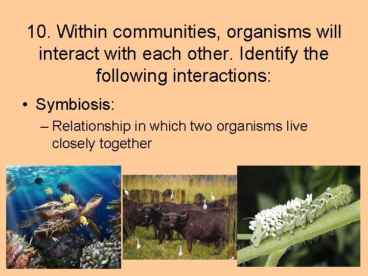 10. Within communities, organisms will interact with each other. Identify the following interactions: •