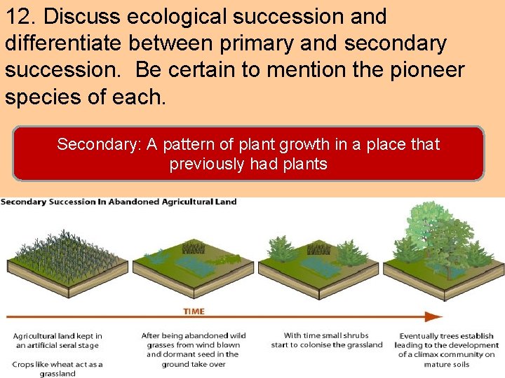 12. Discuss ecological succession and differentiate between primary and secondary succession. Be certain to