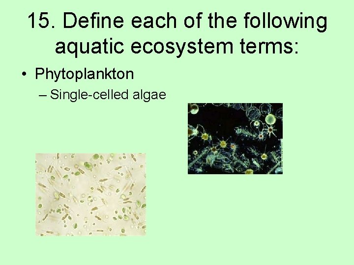 15. Define each of the following aquatic ecosystem terms: • Phytoplankton – Single-celled algae