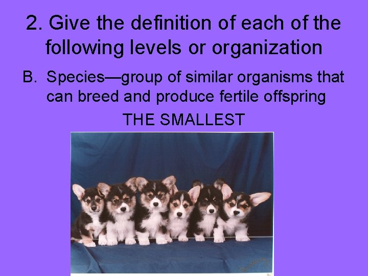 2. Give the definition of each of the following levels or organization B. Species—group