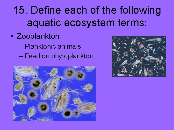 15. Define each of the following aquatic ecosystem terms: • Zooplankton – Planktonic animals