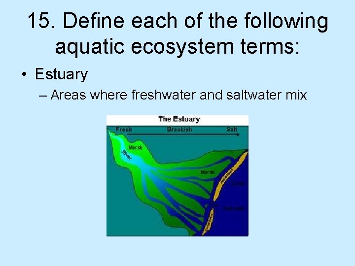 15. Define each of the following aquatic ecosystem terms: • Estuary – Areas where