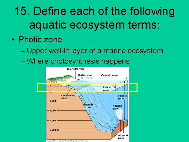 15. Define each of the following aquatic ecosystem terms: • Photic zone – Upper