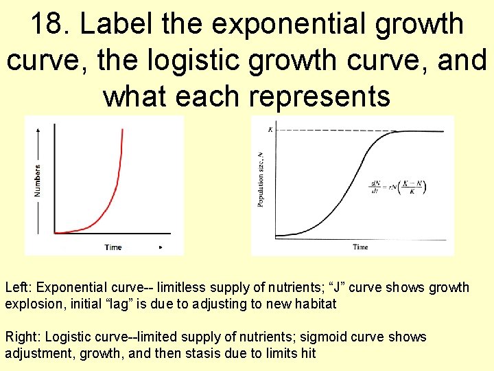 18. Label the exponential growth curve, the logistic growth curve, and what each represents
