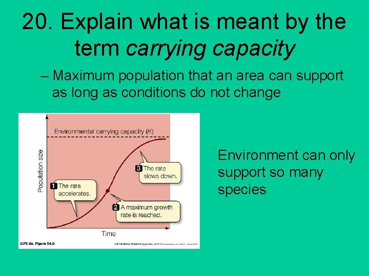 20. Explain what is meant by the term carrying capacity – Maximum population that