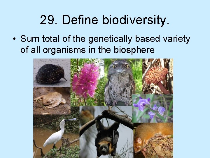 29. Define biodiversity. • Sum total of the genetically based variety of all organisms