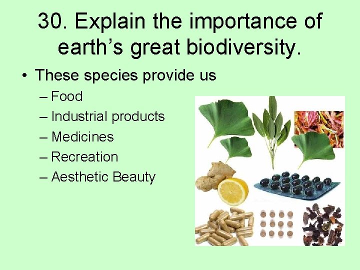 30. Explain the importance of earth’s great biodiversity. • These species provide us –