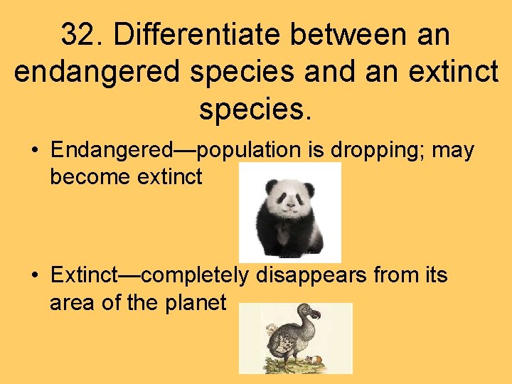32. Differentiate between an endangered species and an extinct species. • Endangered—population is dropping;