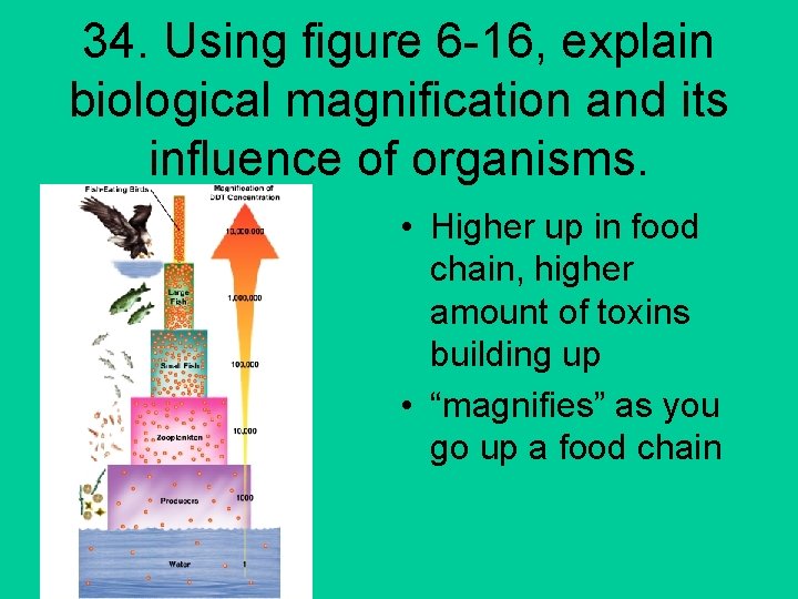 34. Using figure 6 -16, explain biological magnification and its influence of organisms. •