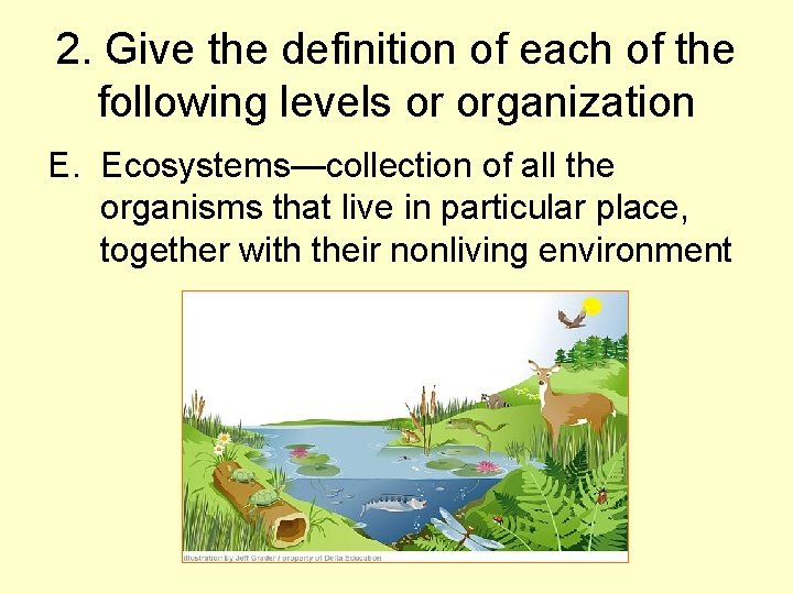 2. Give the definition of each of the following levels or organization E. Ecosystems—collection 2. Give the definition of each of the following levels or organization E. Ecosystems—collection