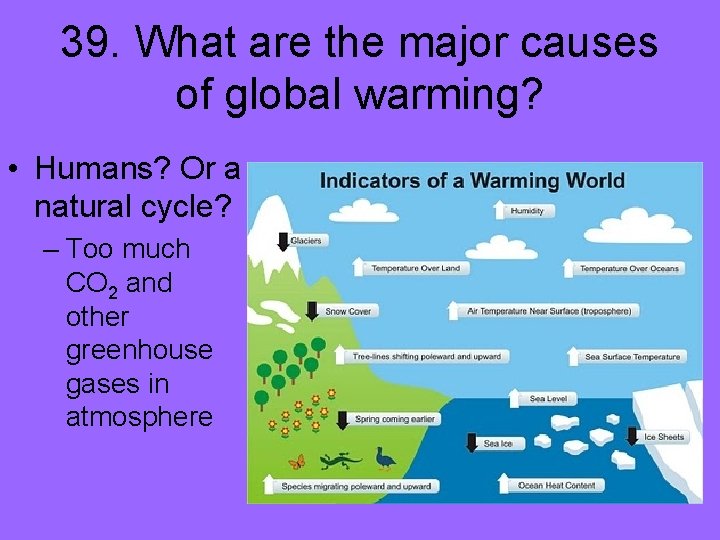 39. What are the major causes of global warming? • Humans? Or a natural