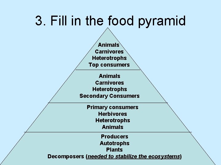 3. Fill in the food pyramid Animals Carnivores Heterotrophs Top consumers Animals Carnivores Heterotrophs