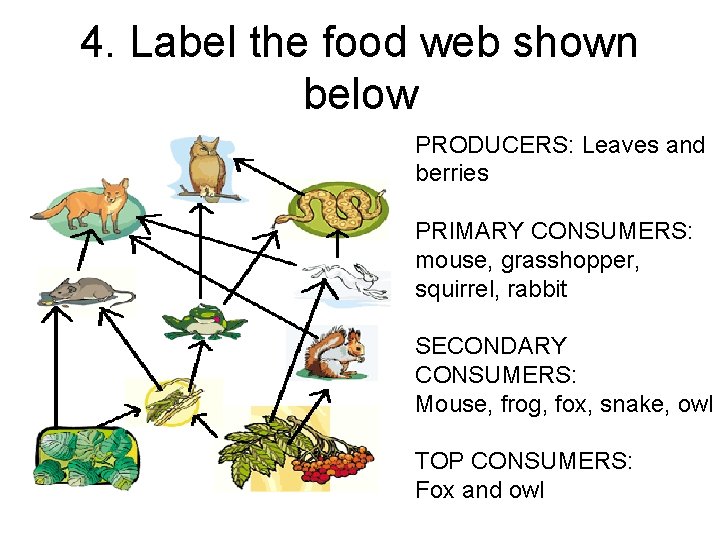 4. Label the food web shown below PRODUCERS: Leaves and berries PRIMARY CONSUMERS: mouse,