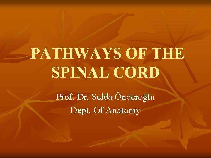 PATHWAYS OF THE SPINAL CORD Prof. Dr. Selda Önderoğlu Dept. Of Anatomy 