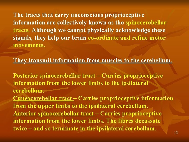 The tracts that carry unconscious proprioceptive information are collectively known as the spinocerebellar tracts.