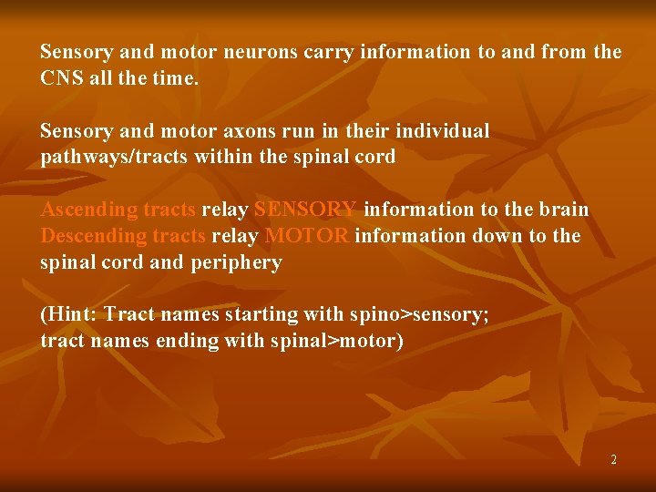 Sensory and motor neurons carry information to and from the CNS all the time.