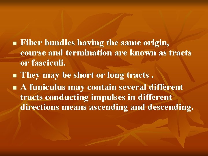 n n n Fiber bundles having the same origin, course and termination are known