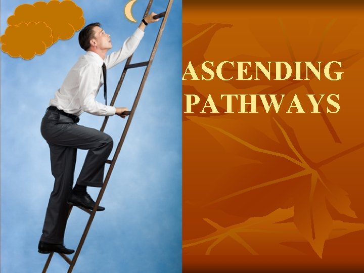 ASCENDING PATHWAYS 