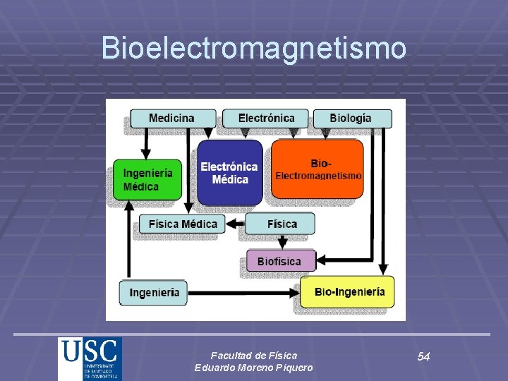Bioelectromagnetismo Facultad de Física Eduardo Moreno Piquero 54 
