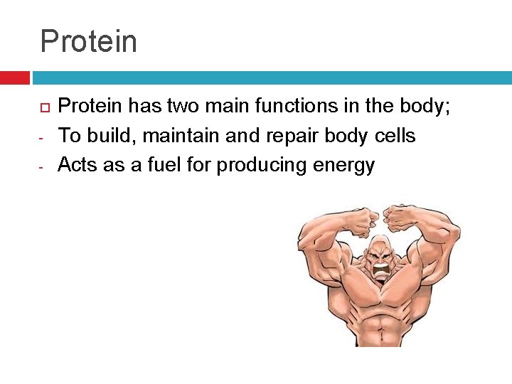 Protein - Protein has two main functions in the body; To build, maintain and