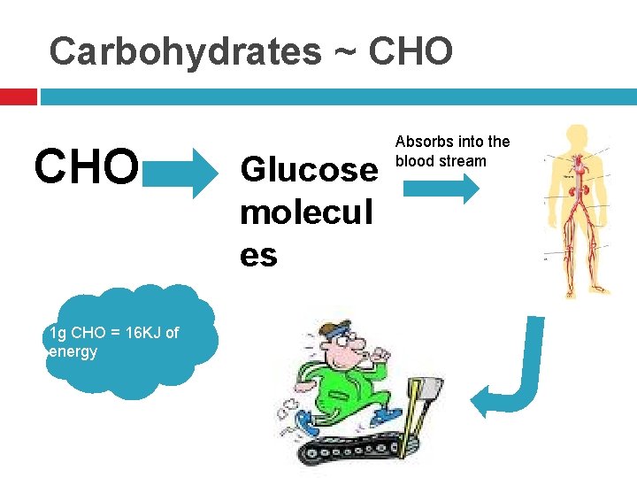 Carbohydrates ~ CHO 1 g CHO = 16 KJ of energy Glucose molecul es