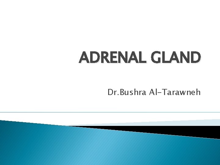 ADRENAL GLAND Dr. Bushra Al-Tarawneh 