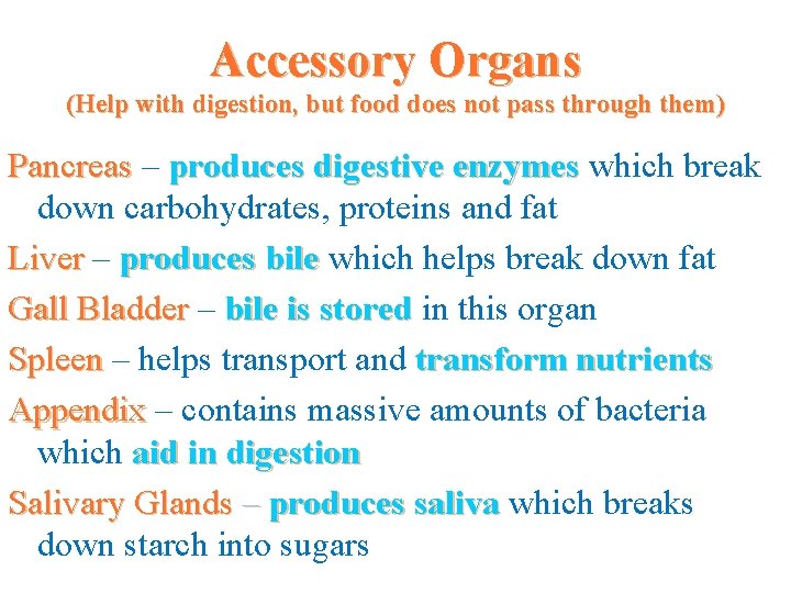 Accessory Organs (Help with digestion, but food does not pass through them) Pancreas –