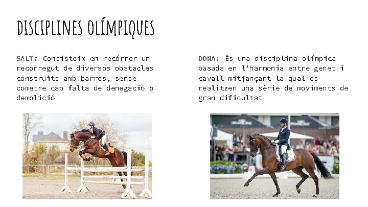 disciplines olímpiques SALT: Consisteix en recórrer un recorregut de diversos obstacles construïts amb barres,