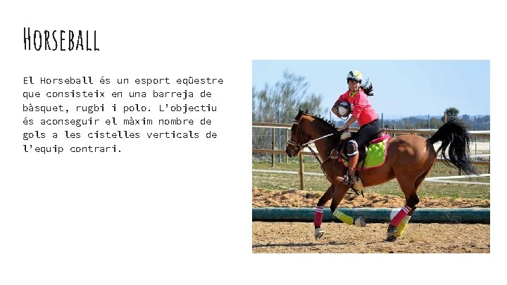 Horseball El Horseball és un esport eqüestre que consisteix en una barreja de bàsquet,