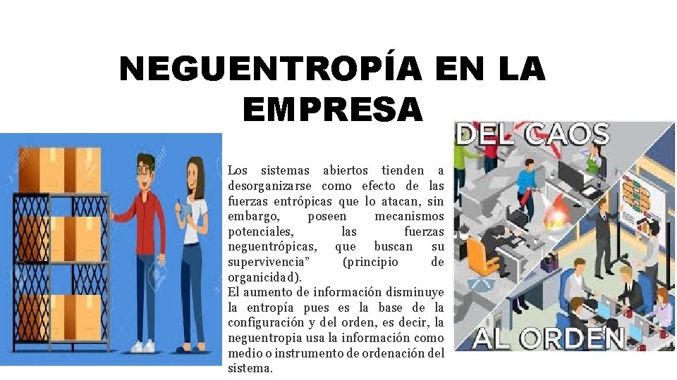 NEGUENTROPÍA EN LA EMPRESA Los sistemas abiertos tienden a desorganizarse como efecto de las