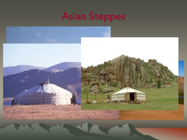 Asian Steppes 