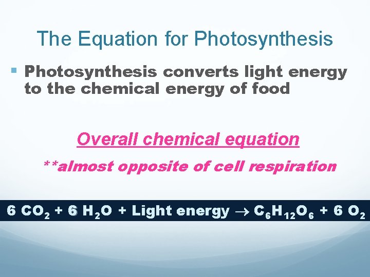 The Equation for Photosynthesis § Photosynthesis converts light energy to the chemical energy of