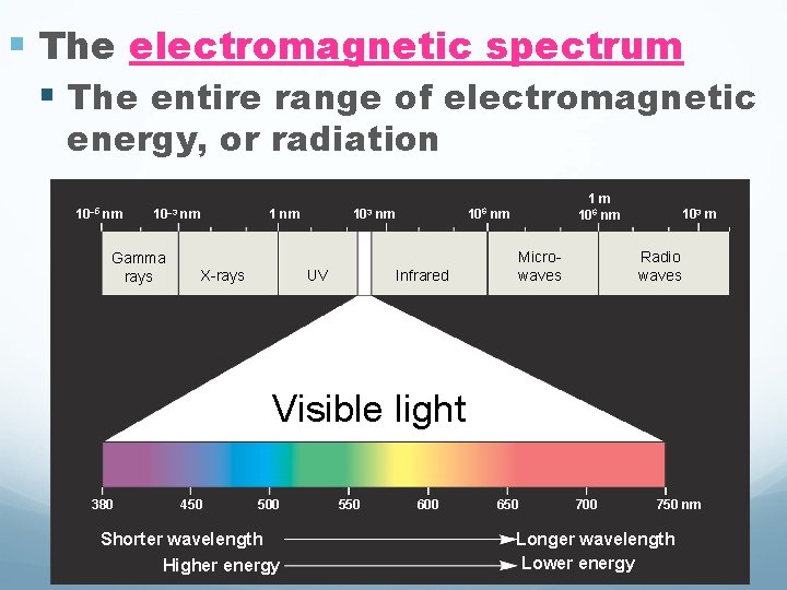 § The electromagnetic spectrum § The entire range of electromagnetic energy, or radiation 10–