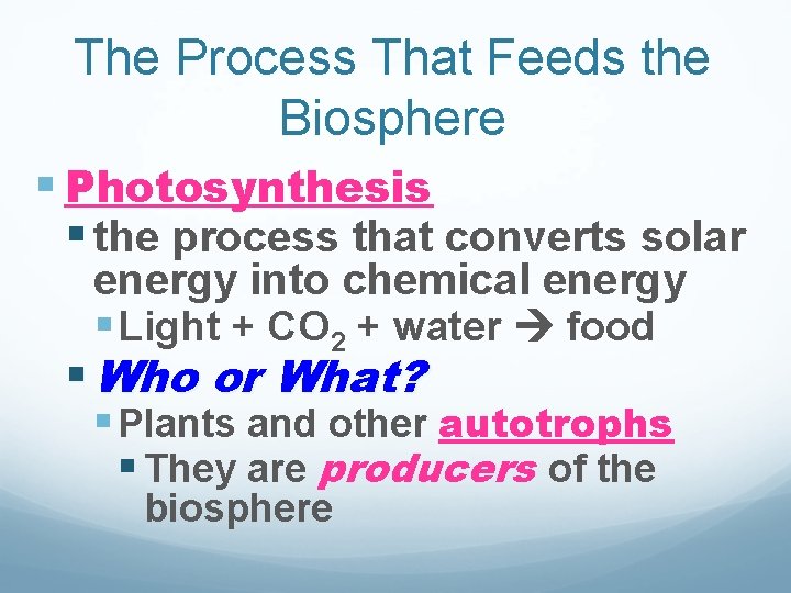 The Process That Feeds the Biosphere § Photosynthesis § the process that converts solar