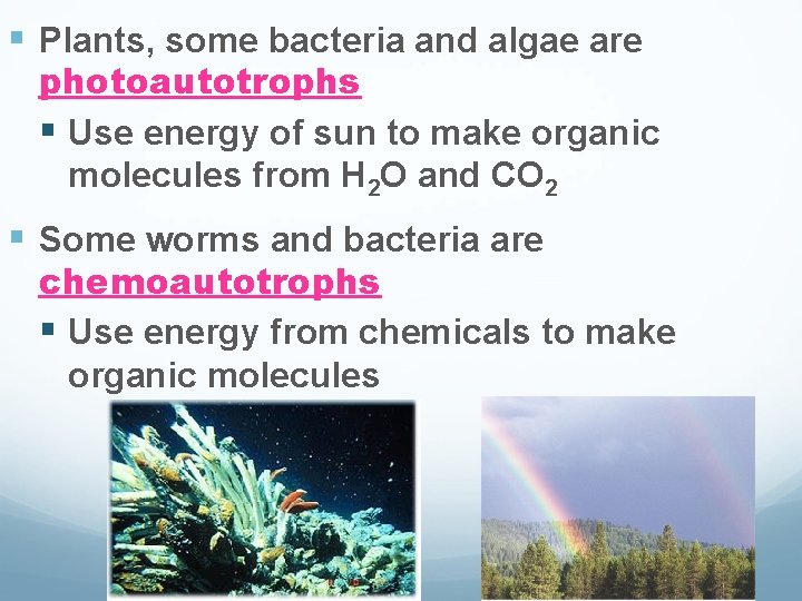 § Plants, some bacteria and algae are photoautotrophs § Use energy of sun to