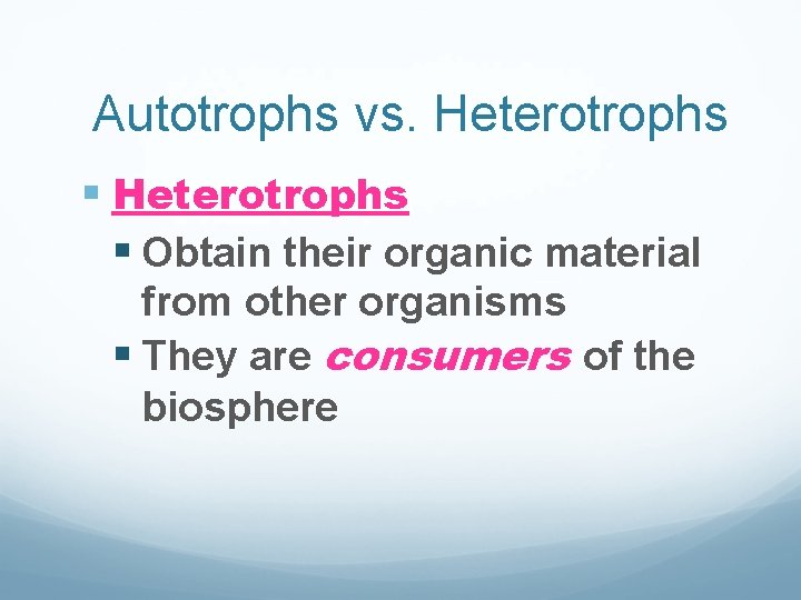 Autotrophs vs. Heterotrophs § Obtain their organic material from other organisms § They are