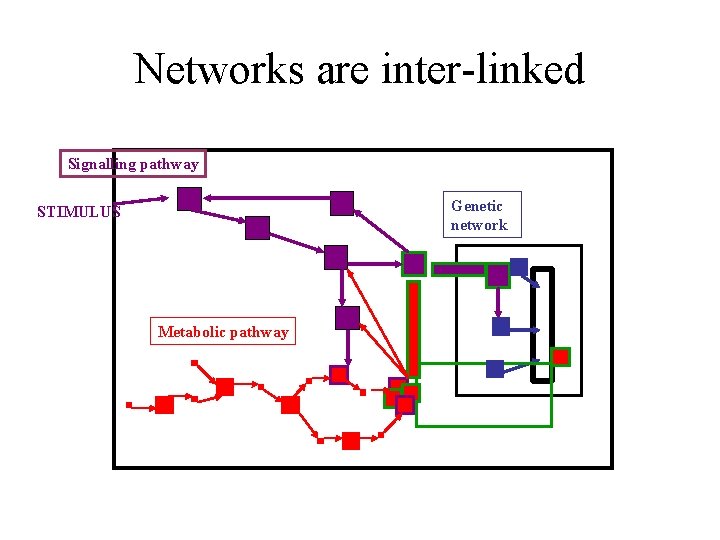 An introduction to biological network analysis Biological networks