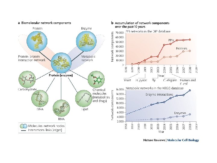 An introduction to biological network analysis Biological networks