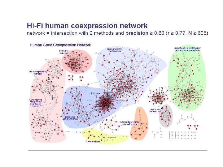An introduction to biological network analysis Biological networks