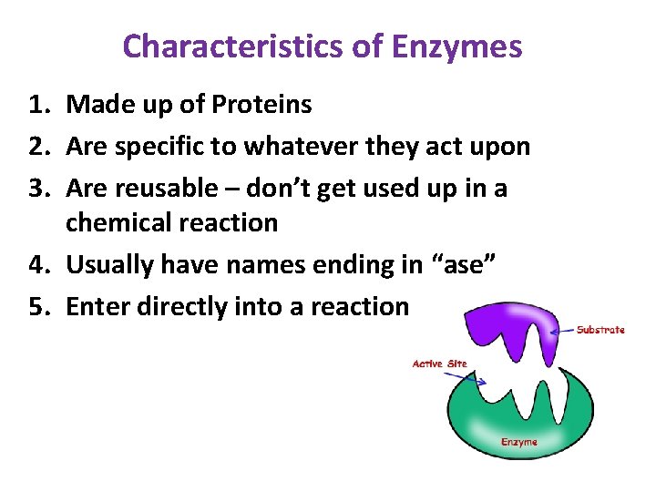 Characteristics of Enzymes 1. Made up of Proteins 2. Are specific to whatever they