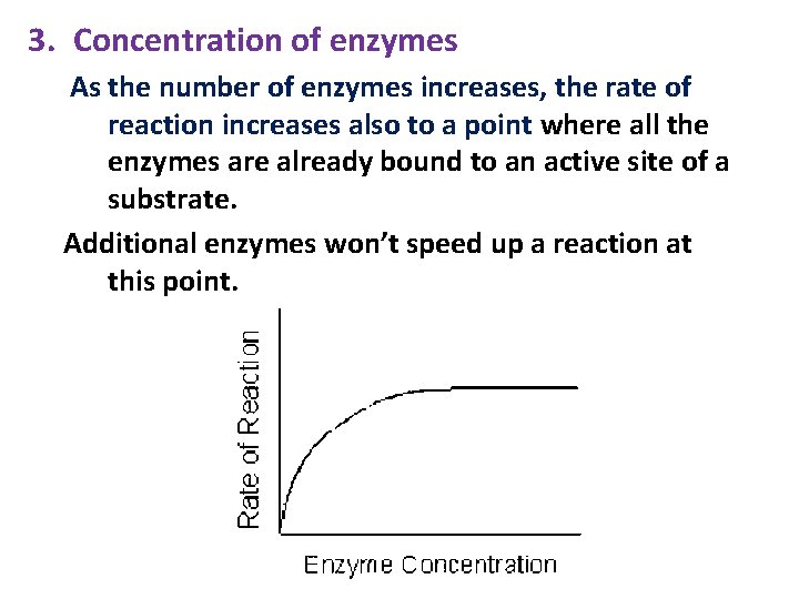 3. Concentration of enzymes As the number of enzymes increases, the rate of reaction