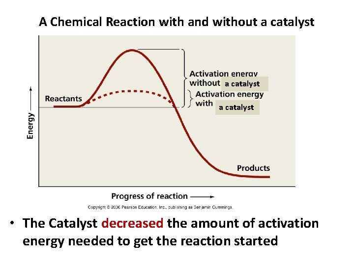 A Chemical Reaction with and without a catalyst • The Catalyst decreased the amount