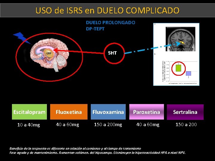 USO de ISRS en DUELO COMPLICADO DUELO PROLONGADO DP-TEPT : 5 HT Escitalopram Fluoxetina