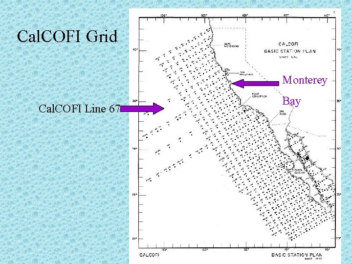 Cal. COFI Grid Monterey Cal. COFI Line 67 Bay 