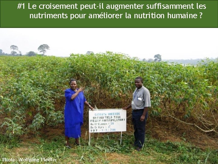 #1 Le croisement peut-il augmenter suffisamment les nutriments pour améliorer la nutrition humaine ?